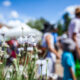 Active shooter insurance: outdoor summer events