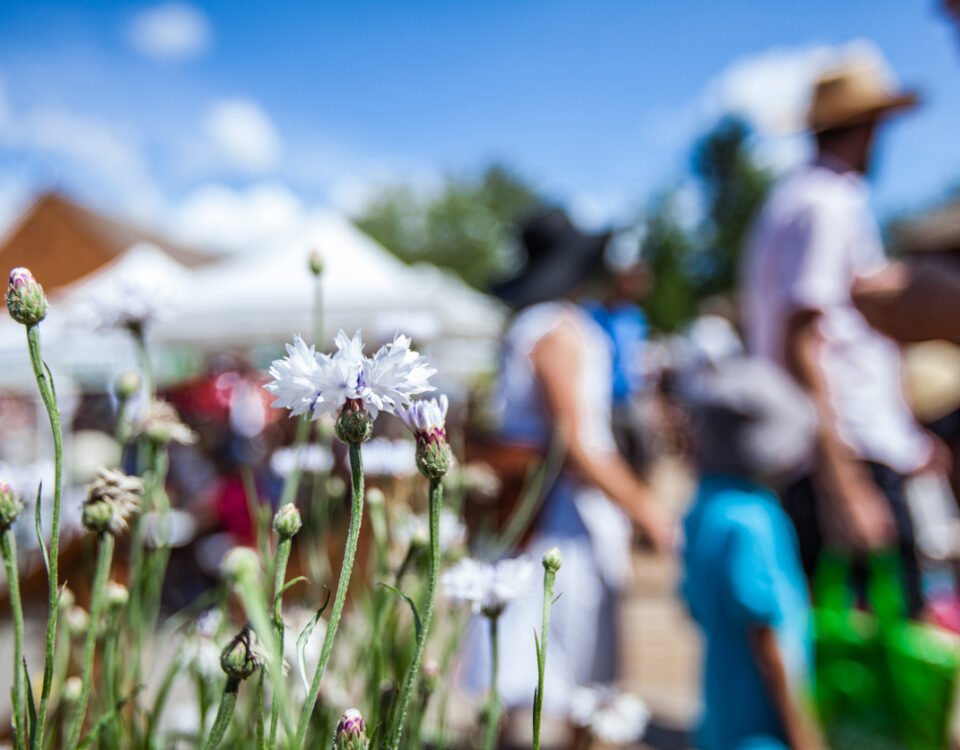 Active shooter insurance: outdoor summer events